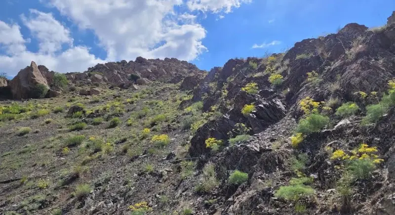 روستای ولیان - تصویر 5