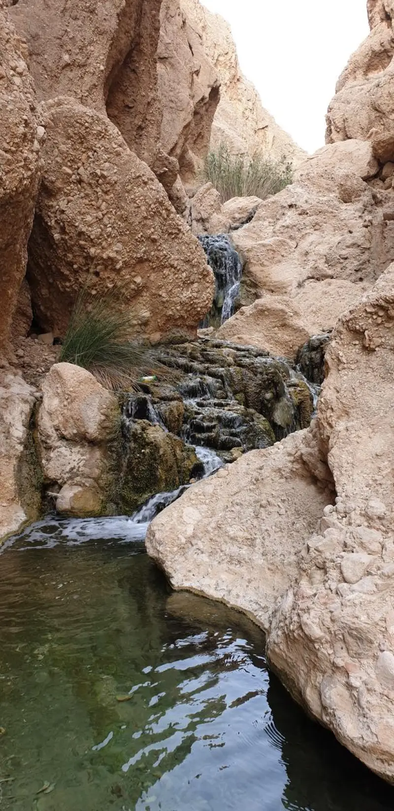 چشمه آبگرم ماخو - تصویر 6