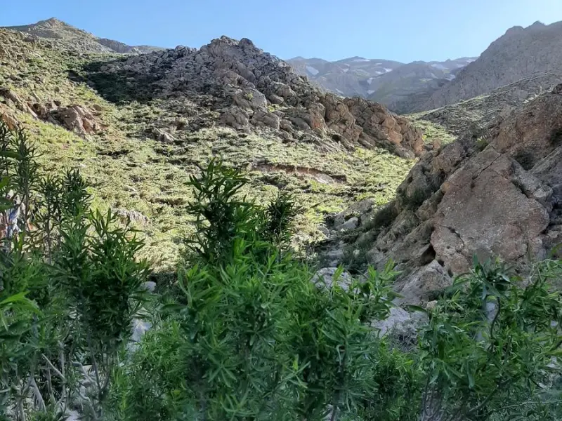قله کلار چیرو - تصویر 8