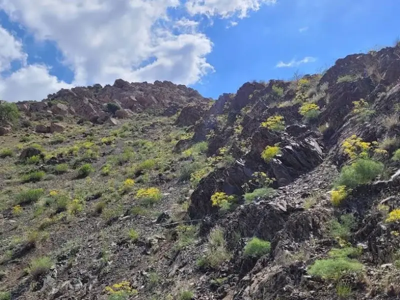 روستای ولیان - تصویر 5