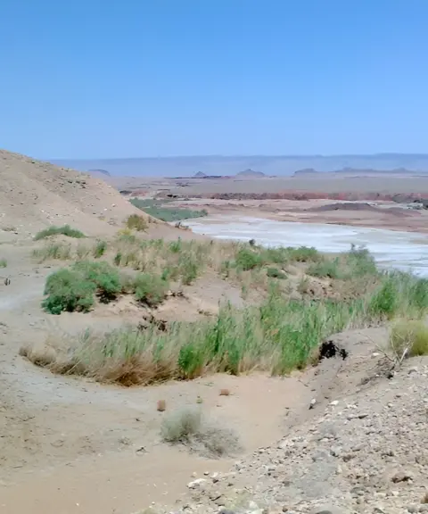 منطقه حفاظت‌شده چاه کومه، کرمان