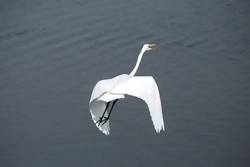 تالاب عشق‌ آباد - تصویر 4