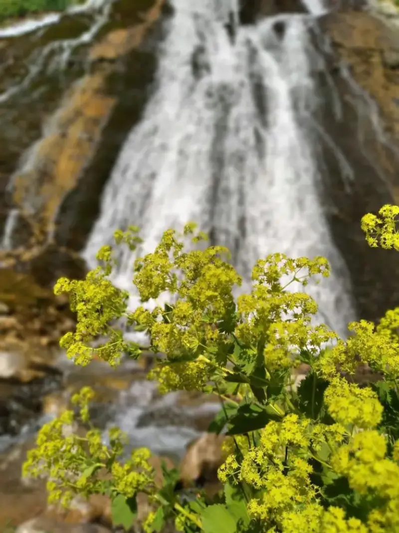 روستای لرد - تصویر 2