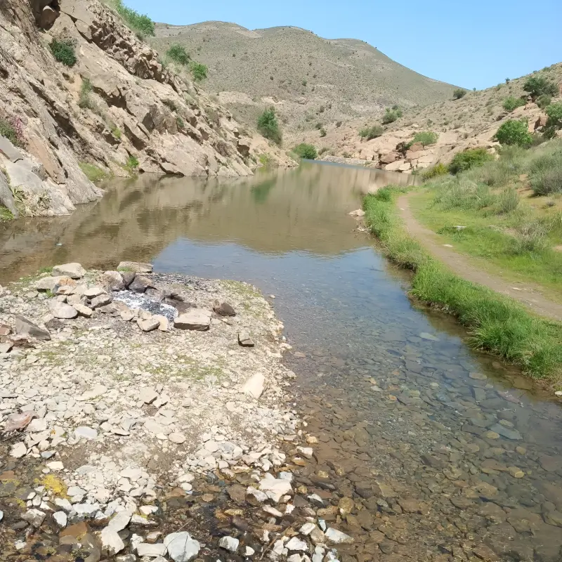 روستای ایله - تصویر 2