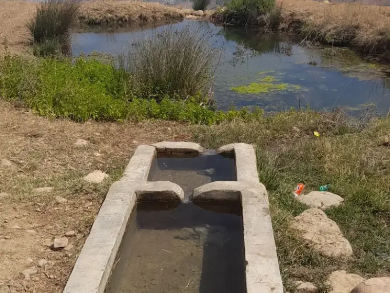 چشمه باساک - تصویر 2