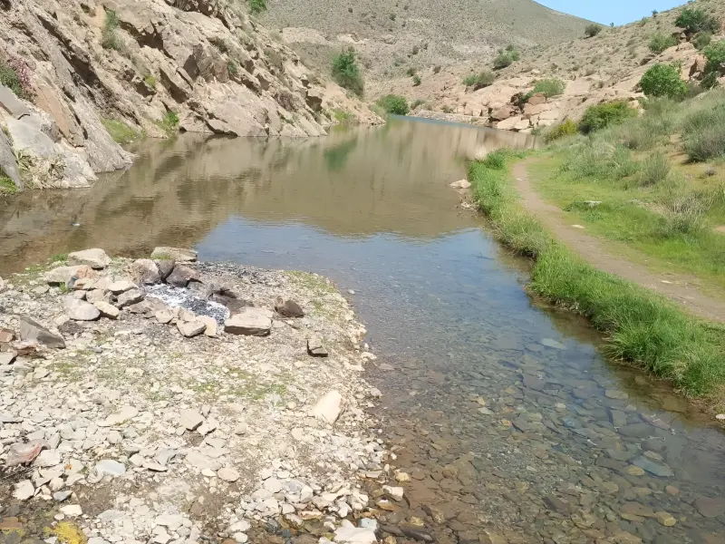 روستای ایله - تصویر 2