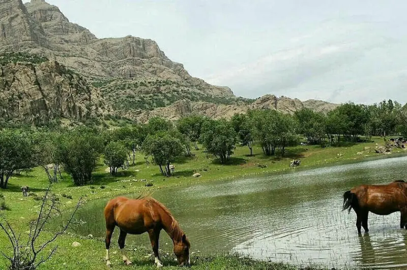 تالاب ازگن - تصویر 11