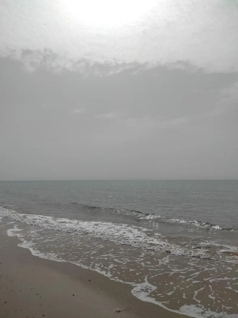 ساحل بربو - تصویر 3