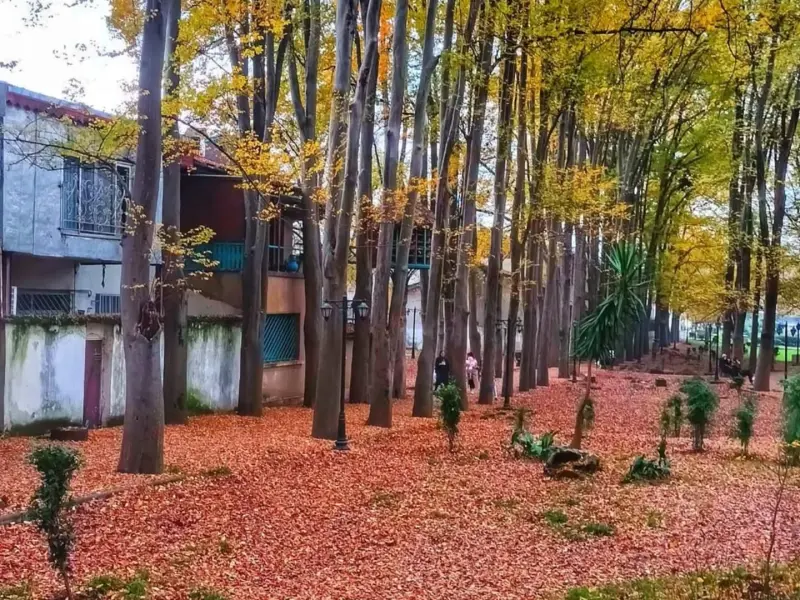 پارک مفاخر رشت - تصویر 6