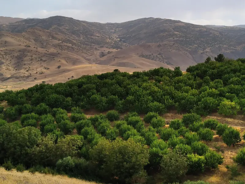 روستای گره‌بان - تصویر 6