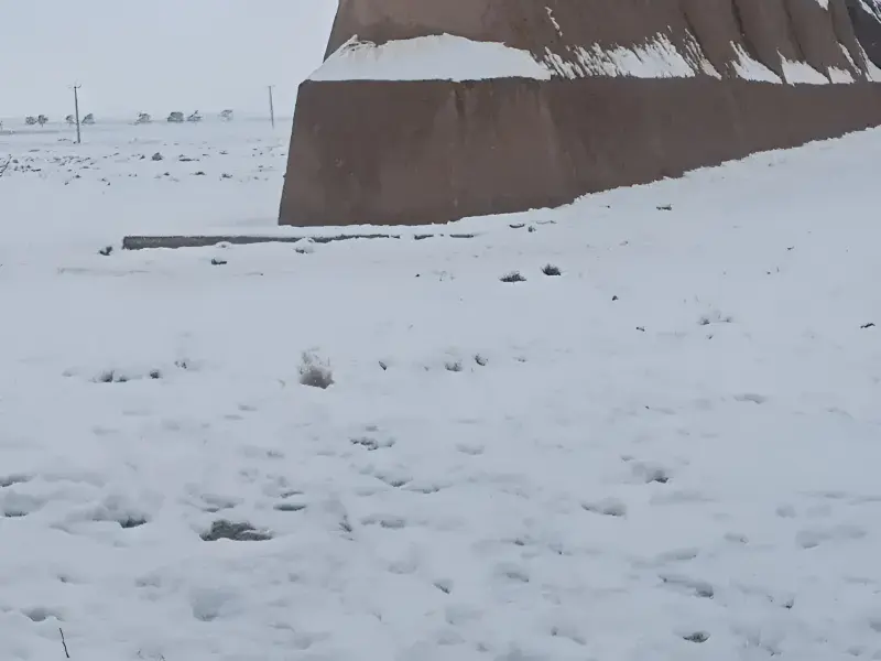 دیوار بارو - تصویر 2