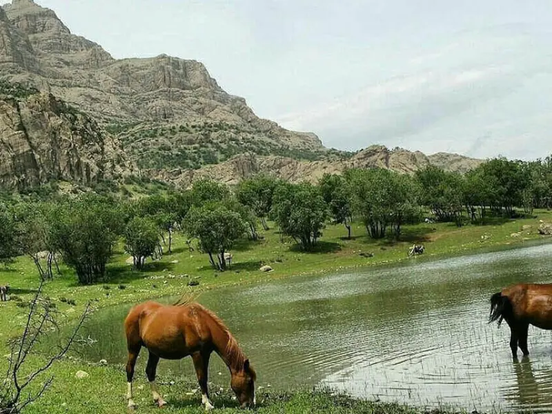 تالاب ازگن - تصویر 11