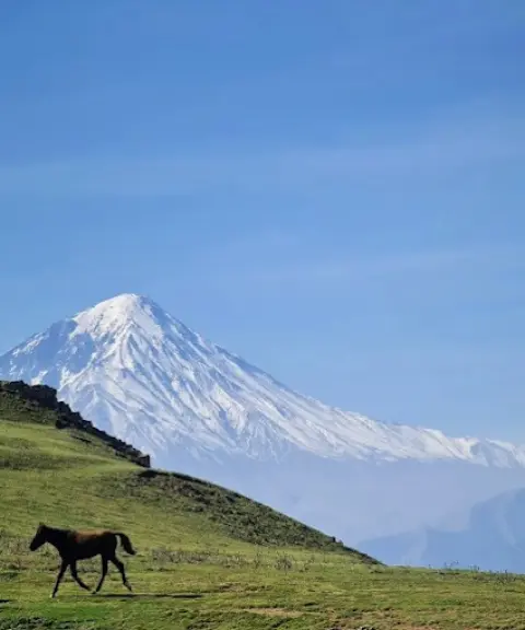 جنگل الیمستان، مازندران