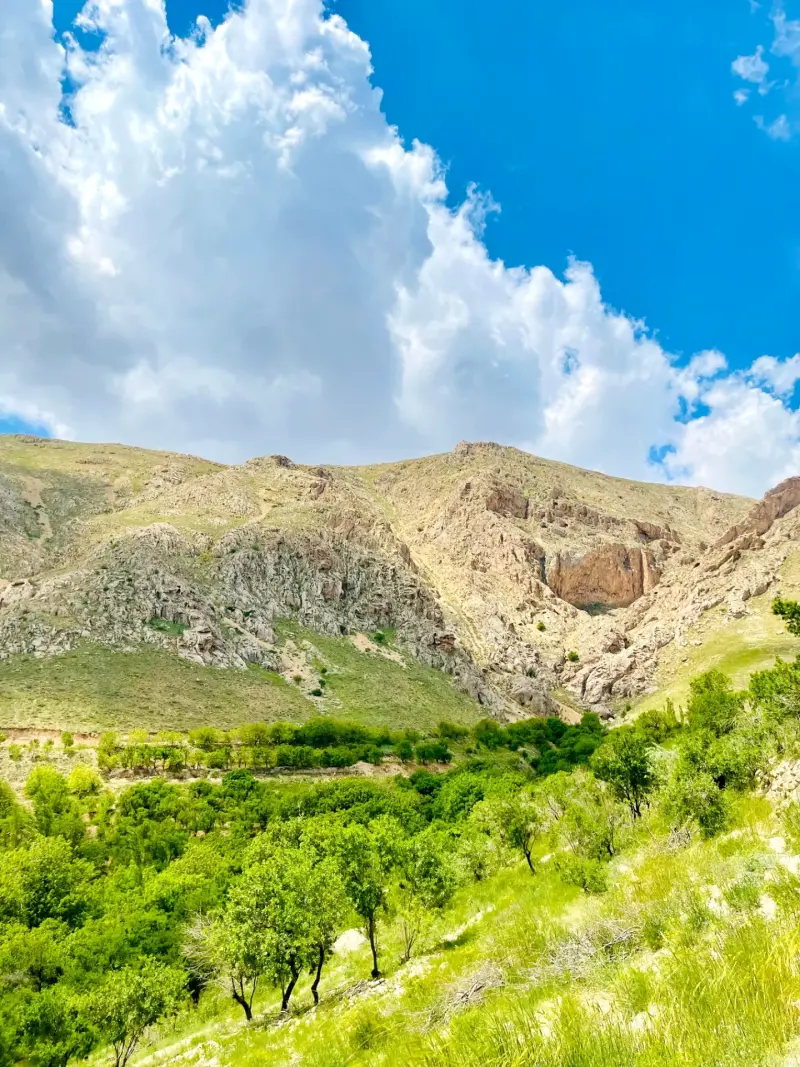 روستای غازم آباد - تصویر 1