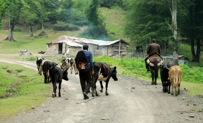 روستای اولم - تصویر 3