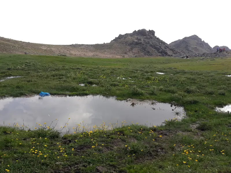 تخت نادر
