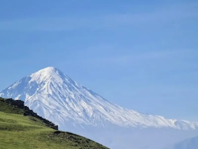 جنگل الیمستان