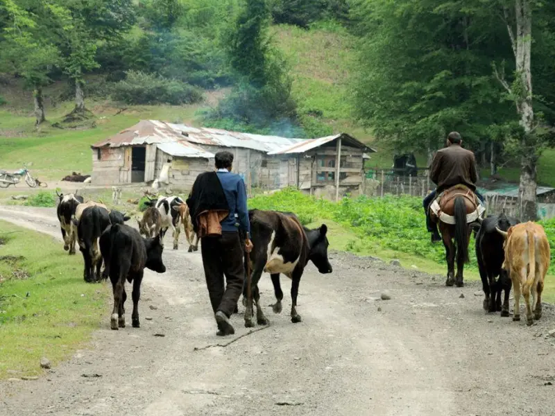 روستای اولم - تصویر 3