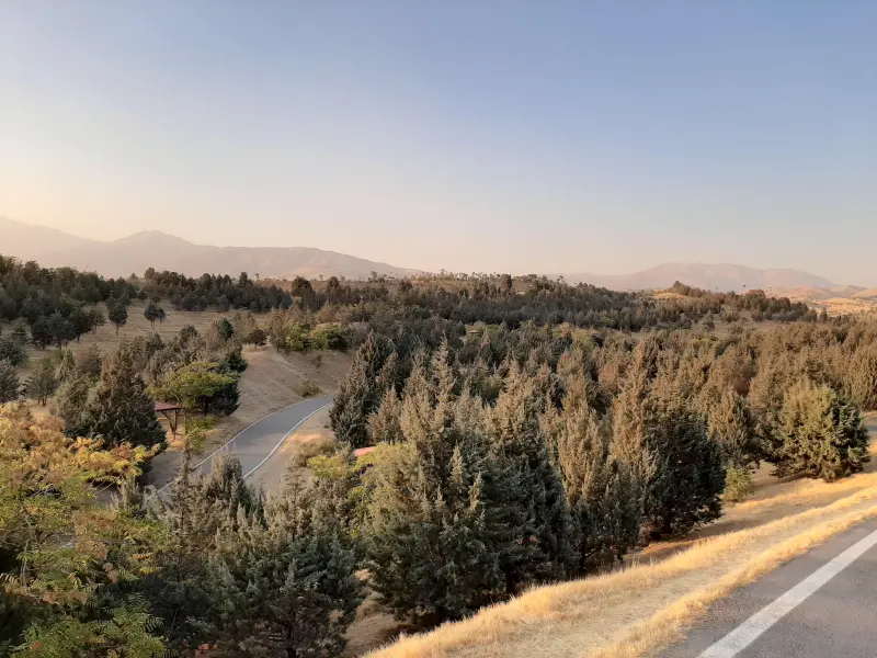 پارک جنگلی تلو - تصویر 2