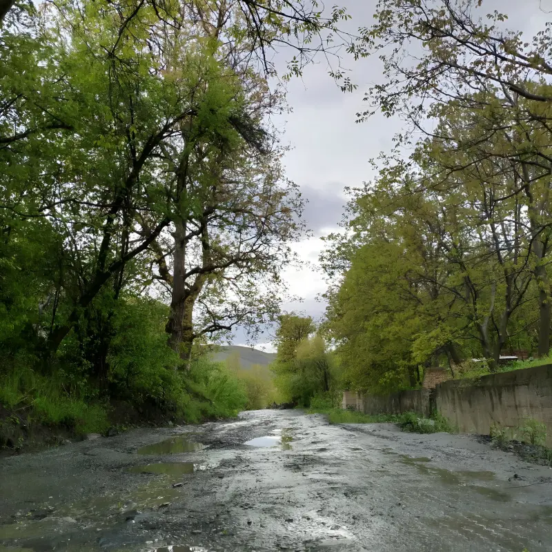 روستای کردینه - تصویر 2