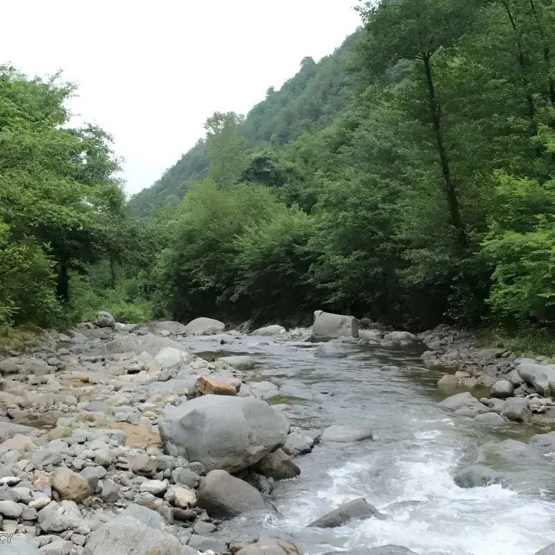 تفرجگاه دوآب سیاهکلرود - تصویر 4