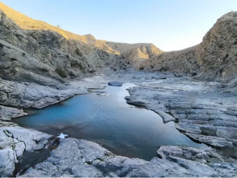 چشمه گاوگل