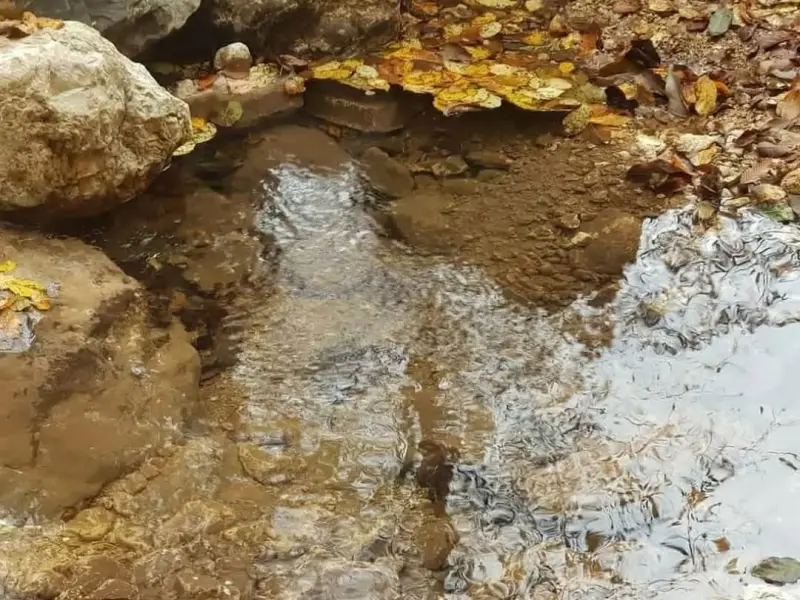 چشمه پلنگ خیل - تصویر 1