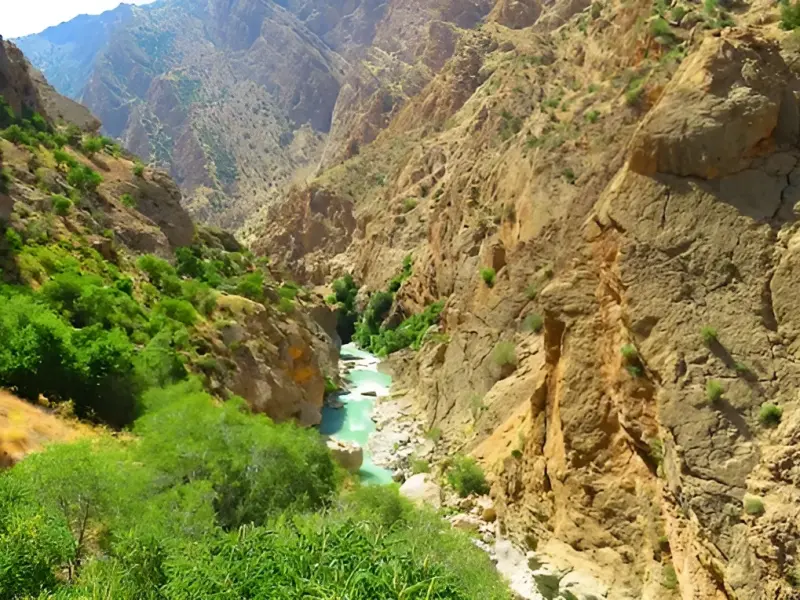 چشمه بیدملون