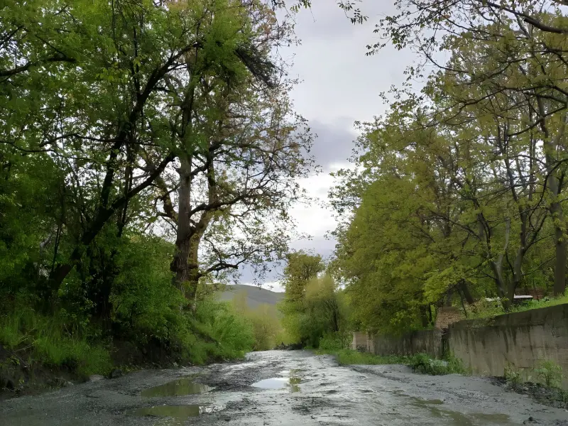 روستای کردینه - تصویر 2