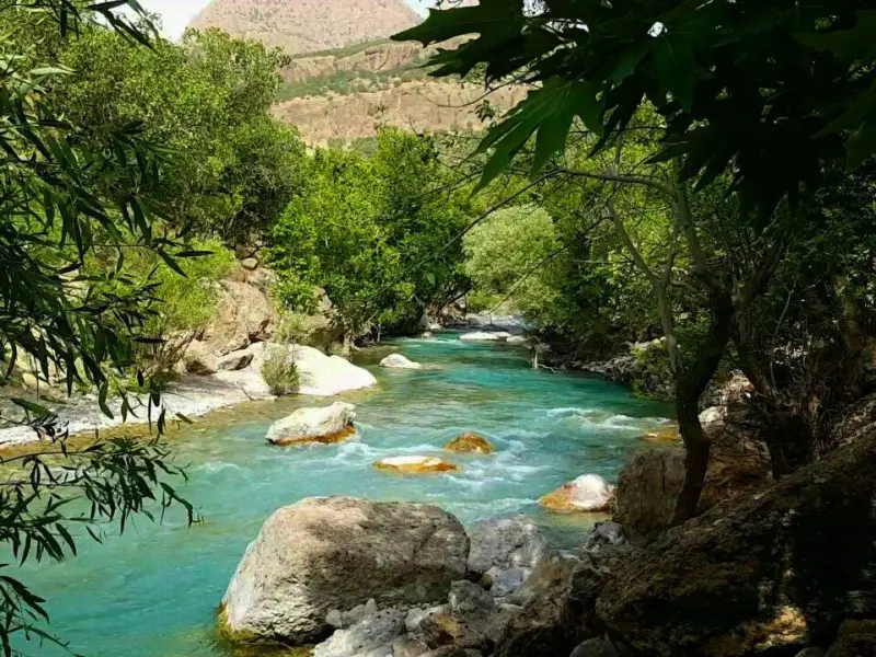 دره نی‌گاه
