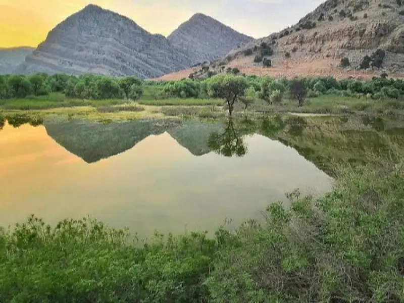 دشت شیمبار