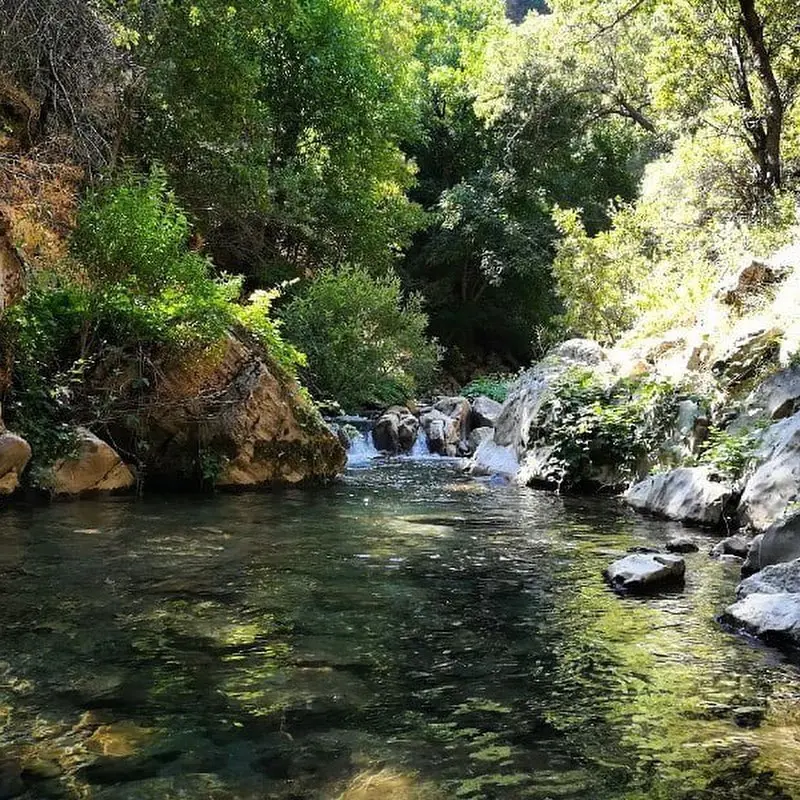 دره خدرآوی - تصویر 2