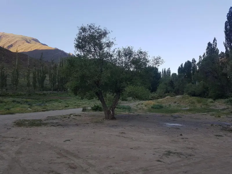 قله سکه نو - تصویر 1
