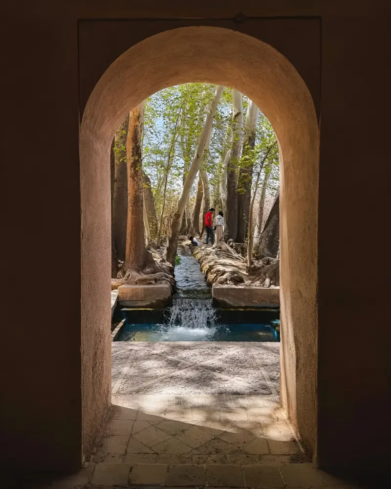 باغ پهلوان‌پور - تصویر 4