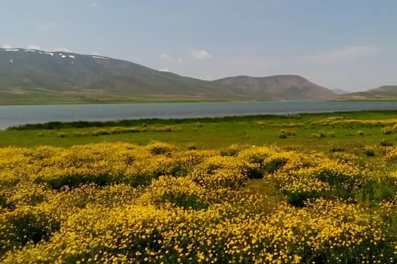 تالاب چغاخور - تصویر 4