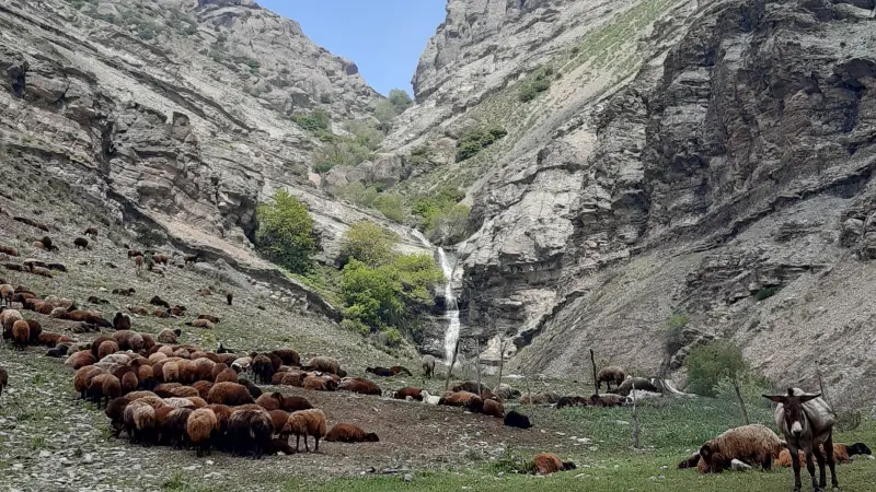 آبشار کلوگان - تصویر 1