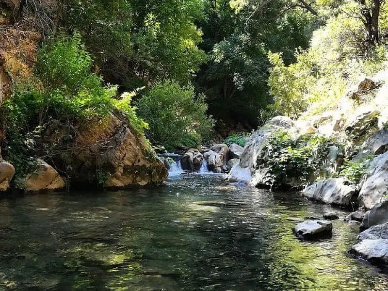 دره خدرآوی - تصویر 2