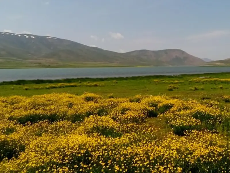 تالاب چغاخور - تصویر 4