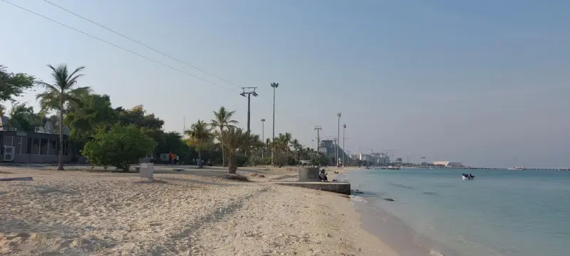 ساحل درختان نارگیل - تصویر 4