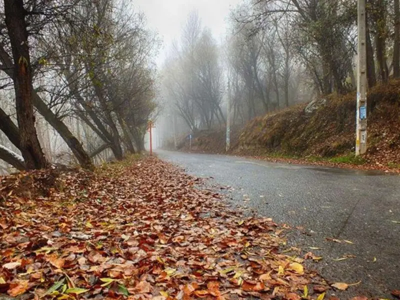 پارک جنگلی خیاوچای - تصویر 2
