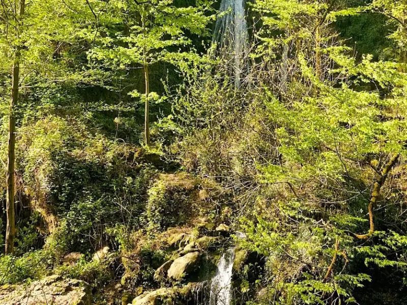 آبشار اوشرشره - تصویر 5