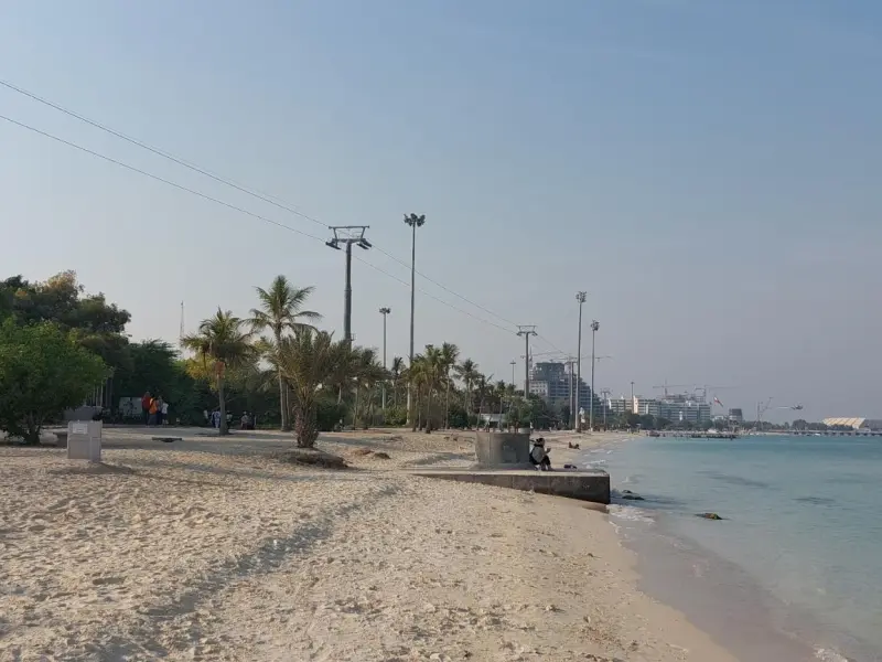 ساحل درختان نارگیل - تصویر 4