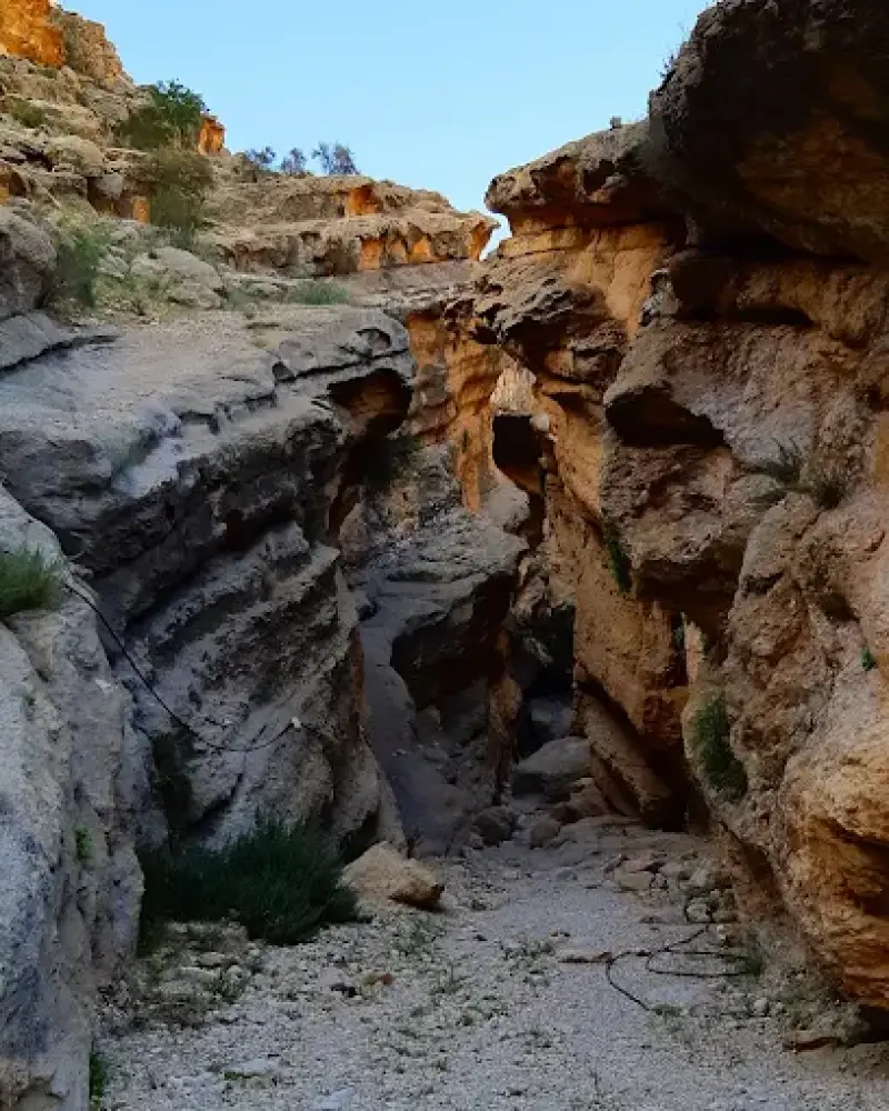 غار بنوو - تصویر 5