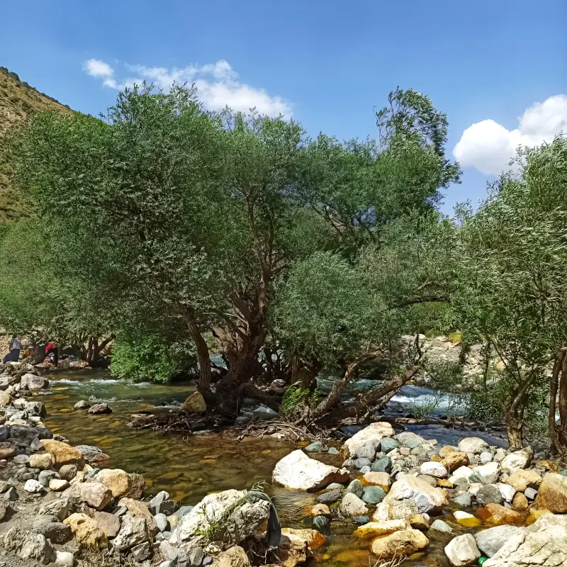 دره جرمی - تصویر 1