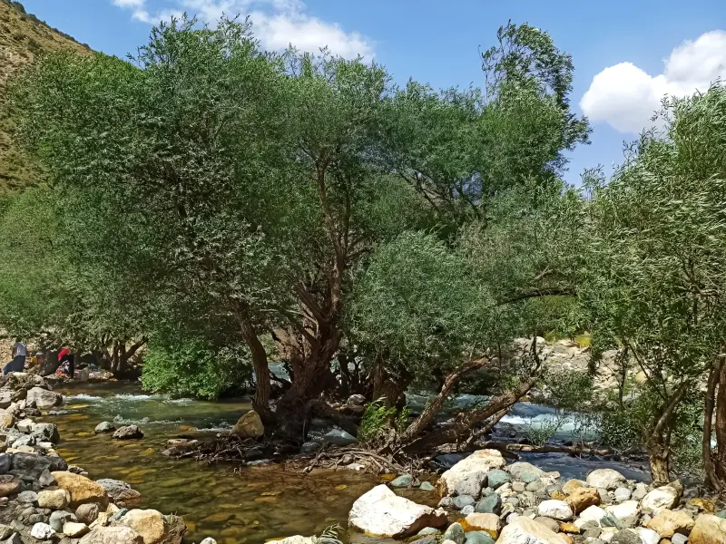 دره جرمی - تصویر 1