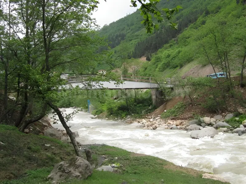 پارک جنگلی سفیدآب