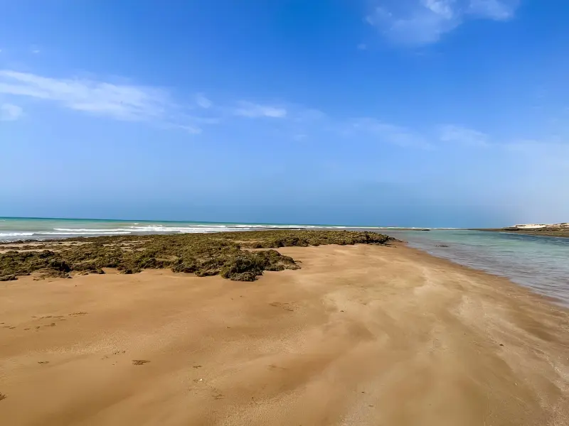 ساحل نقاشه - تصویر 1