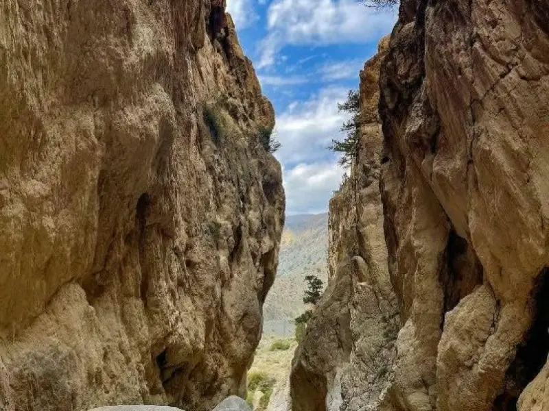 تنگه روزیه