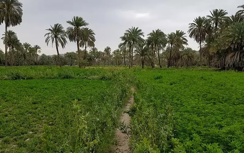 منطقه حفاظت‌شده گاندو - تصویر 4