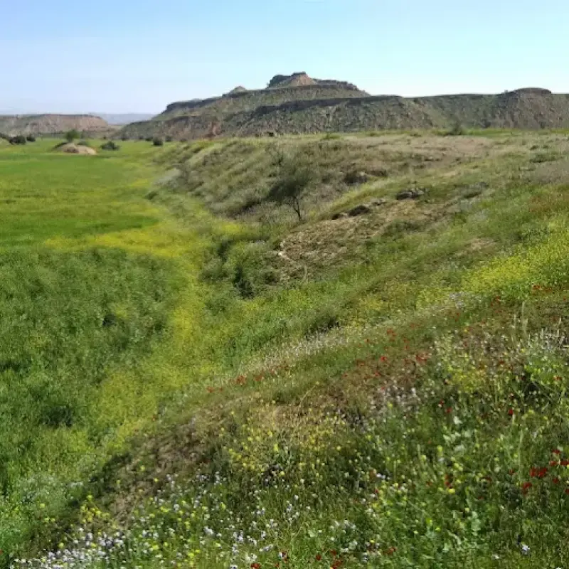 منطقه حفاظت‌شده کرایی - تصویر 1
